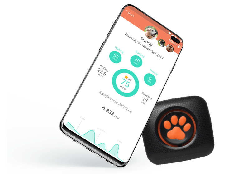 pitpat app